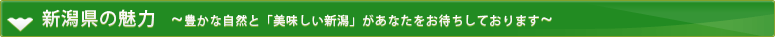 新潟県の魅力